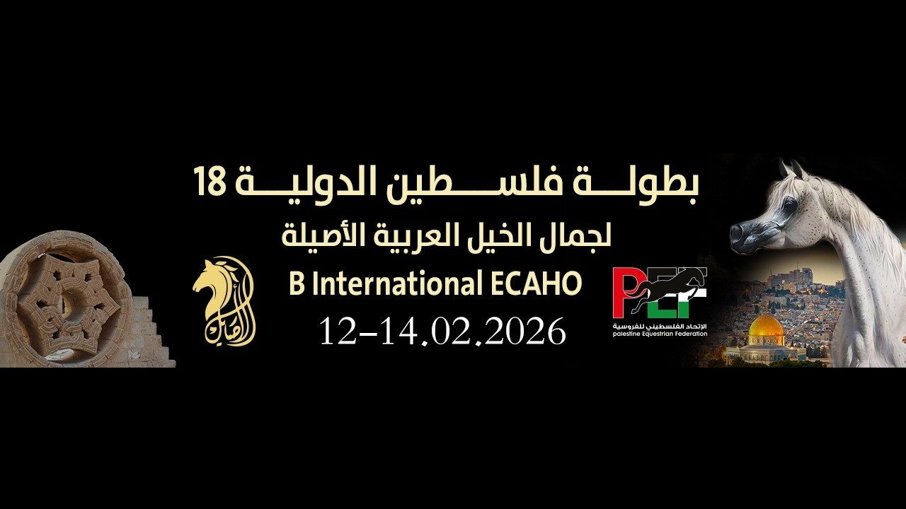 Arabian Show - 18th Palestine B International Show (Day 3)