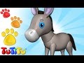 Burro  - Aprende nombres de animales con TuTiTu