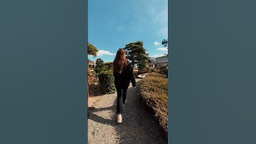 One-shot take #phonegimbal #VB4