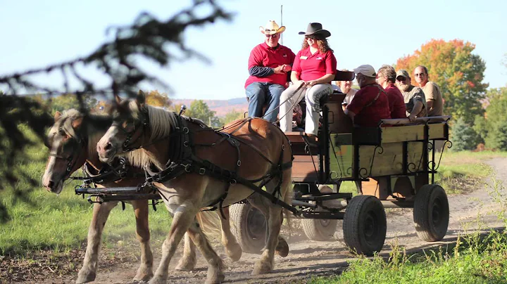 Experience Elk Country