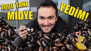 1000 TANE MİDYE YEDİM!