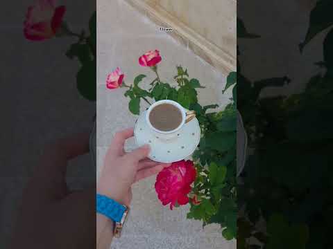 غرقت في بحر عينيك قهوتي مزاجي وردات الجنينة Flower قهوتي 