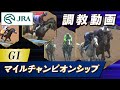 【調教動画】2025年 マイルチャンピオンシップ｜JRA公式