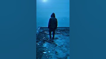 The Transmission Was Interrupted | SVNFR // The Signal Builds