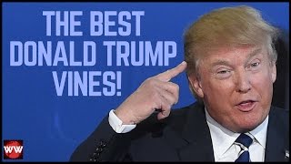 The Best Donald Trump Vines Of The 2016 Election!