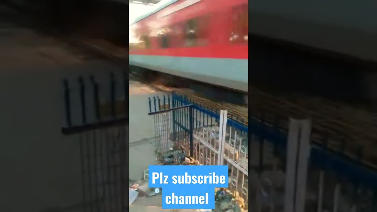 Dog killed by faster train
