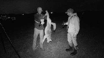 Predator Academy - Season 1 Hunt 1 - Coyote Phase 1- Night coyote hunt in Ohio, JD Piatt and crew.