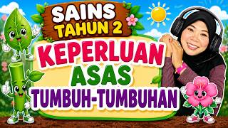 GRADE 2 SCIENCE | BASIC NEEDS OF PLANTS