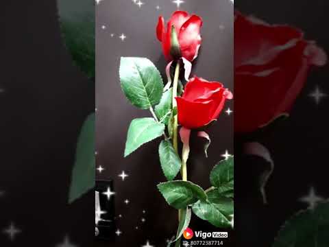 Ek Aisi Ladki Thi Jise Mai Pyar Karta Tha