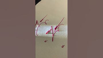 How to sign the letter Z? #signature #youtubeshorts #viralvideo #shorts