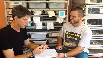 Breeder Interview with Alan Bosch Reptiles & Chivory ball python @ Queen City Constrictors