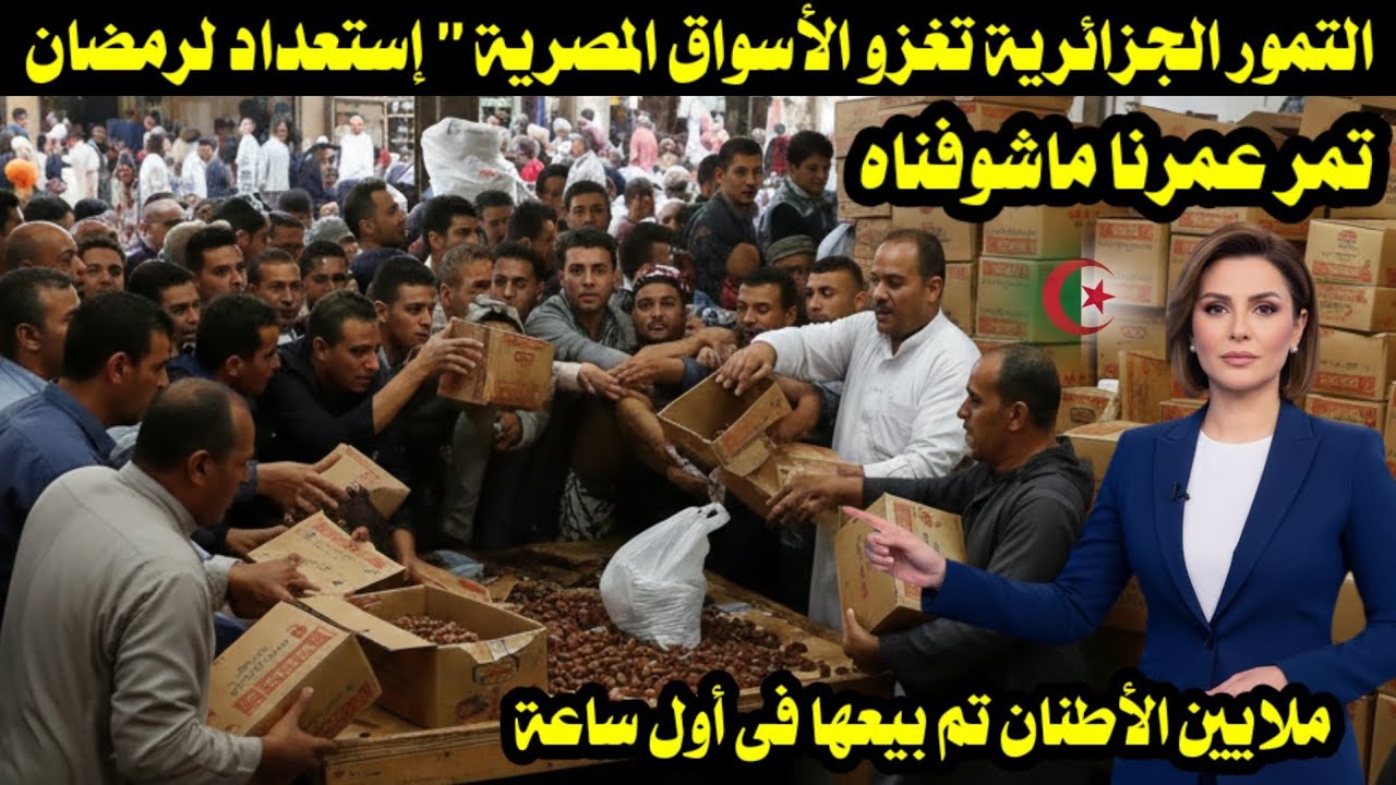 التمور الجزائرية تغزو الأسواق المصرية 