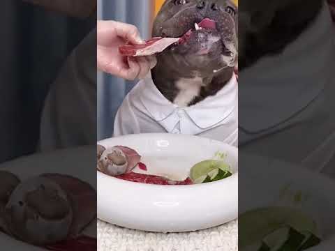 ASMR Drinking soup#😂😂😂#ASMR #Mukbang #pitbullオリジナル楽曲 - BounceThePitbull/バウンス チャンネル #shorts