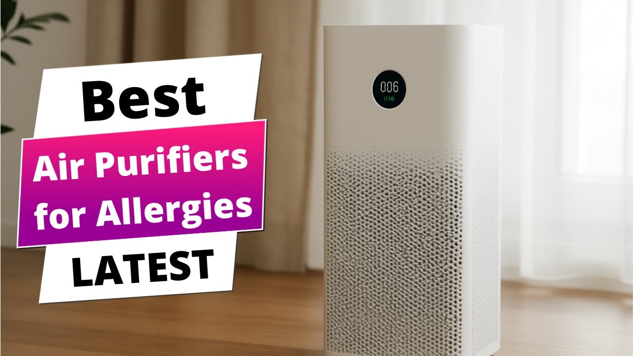 Best Air Purifiers for Allergies: Air Purifiers for Allergies (Buying ...