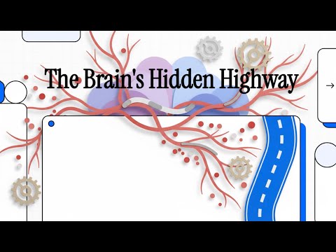 100 Vertebral Artery Dissection and Other Conditions