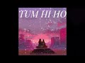 ‘TUM HI HO’  Lofi (Slowed   Reverb)  |  Arijit Singh  |  NOSTALGIC LOFI