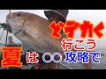 タイラバ初心者でも簡単　シャローエリアを攻略で良型真鯛！in瀬戸内海