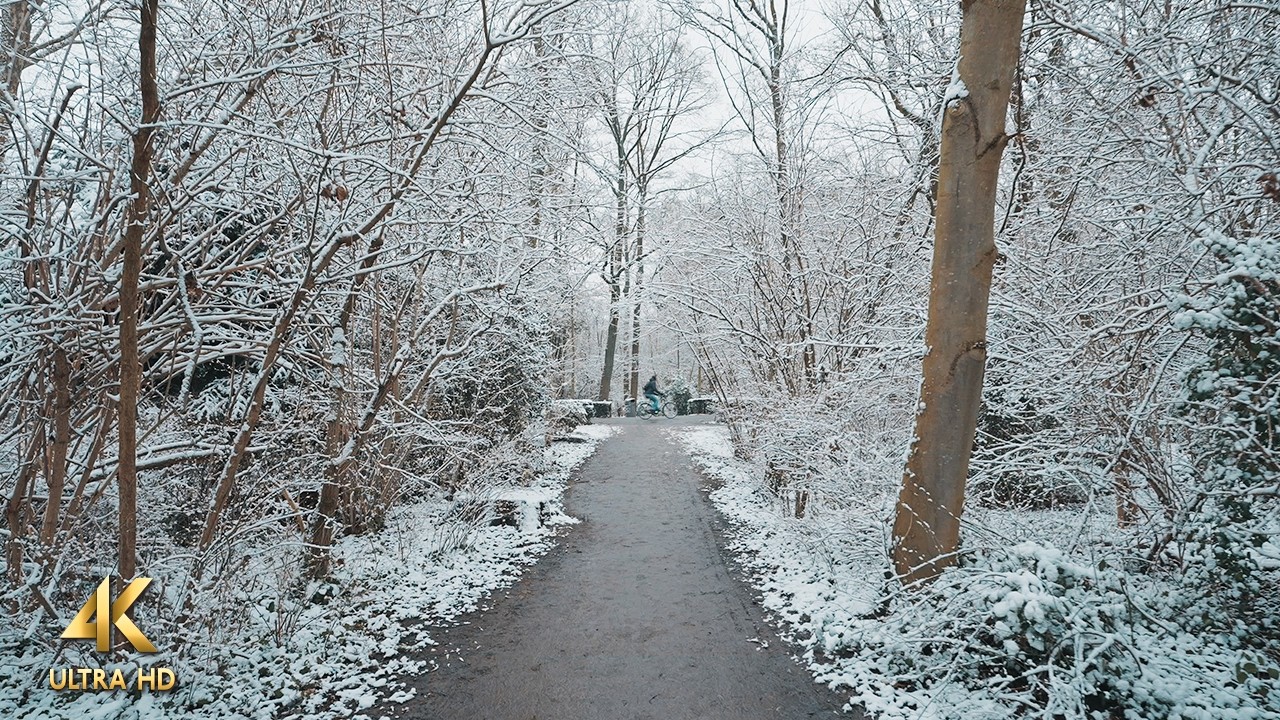 Relaxing Morning Walk in Snow-Covered Vondelpark, Amsterdam • Slow TV 4K