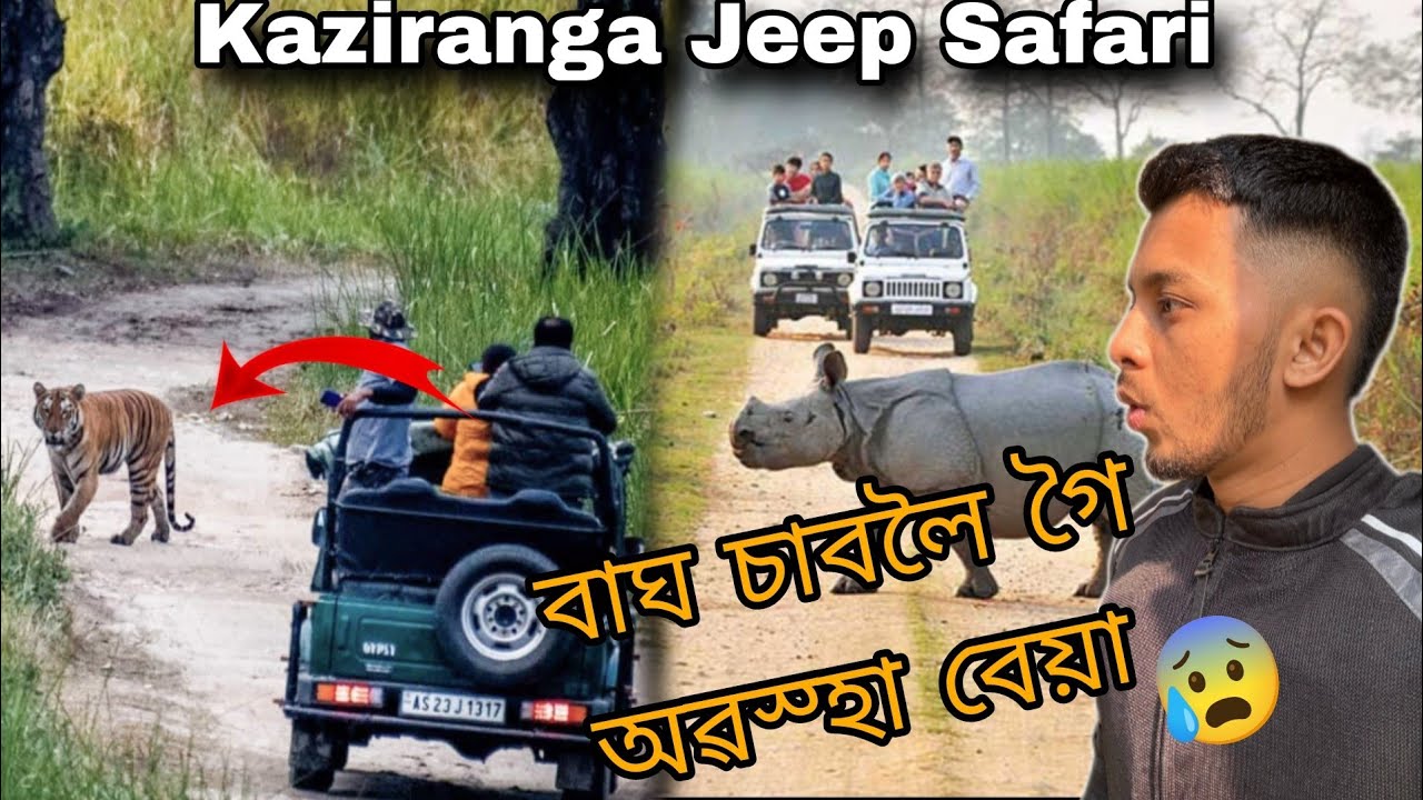 Kaziranga National Park Jeep Safari ত কি কি হ’ল চাওঁ আহক 😨 || Guwahati to Kaziranga ride