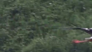 1050109基隆河南港段水域東方白鸛9
