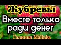 Жубревы Life Vlog /Обзор новых ВЛОГОВ / Вместе ради Денег //
