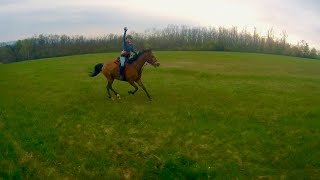 Dostih Korvína a Manga 🏇🏇 Pondělní ráno se Šárkou a cval po loukách