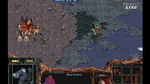 SPL  sAviOr vs YellOw[ArnC] 2008-10-28  @ Raid Assault 2