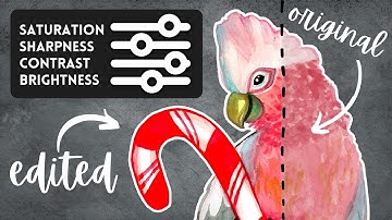 How I Edit Watercolor Paintings for Prints w/ FREE Software