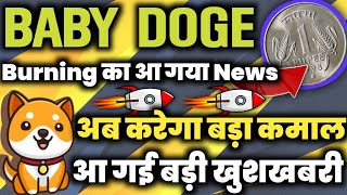 Baby Dogecoin कर दिया सबसे बड़ा Burning ?? Baby Dogecoin Future ? Today Crypto News