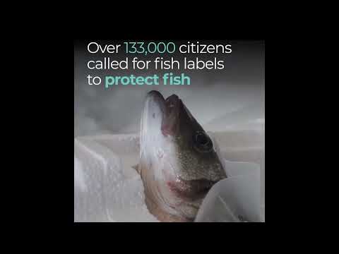 Fishy labels