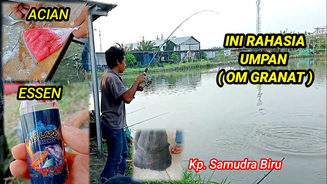 Racikan Jitu Umpan Om Granat ‼️Jamin Ndongak Di Kp. Samudra Biru #mancingmania #angler