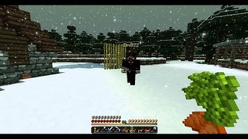 Project X Update: February 2013!