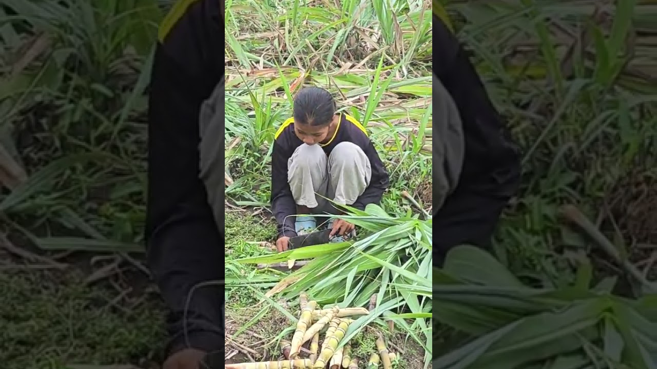 2026 03 06 8 Thorn Sreyka & Thorn Sreypeo