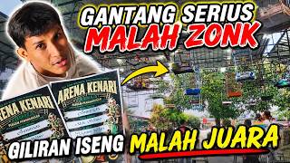 KENARI BIRAHI KOK DIGANTANG⁉️YANG DISETTING SERIUS MALAH BIRAHI DAN YANG ISENG MALAH POIN