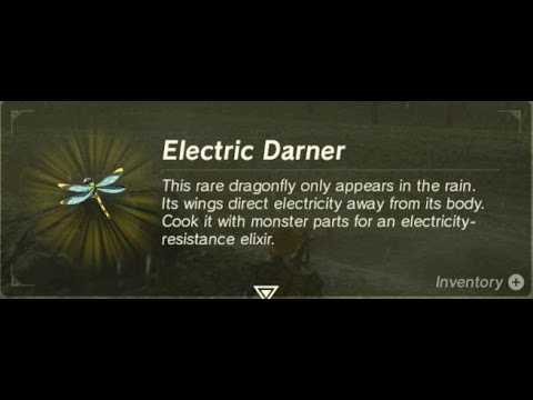 Electric Darner / Thunderwing Butterfly | Farming Location #1 | Zelda Botw  - Youtube Electric Darner / Thunderwing Butterfly | Farming Location #1 | Zelda Botw  - Youtube