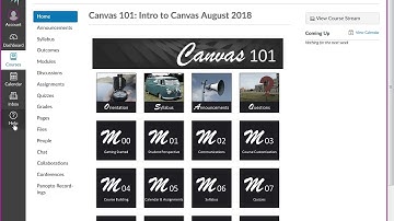 Canvas 101 Overview Saturday  August 04  2018 at 12 12 36 PM