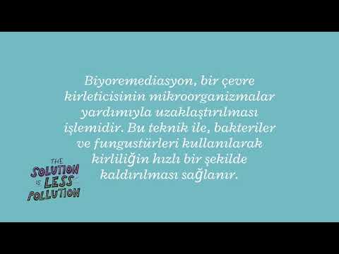 Video: Biyoremediasyon ne zaman kullanıldı?