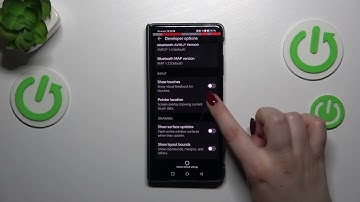 How To Enter Developer Options In HONOR Magic V2