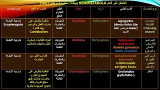 محاضرة 1 أساسيات حشرات الجزء الثانى