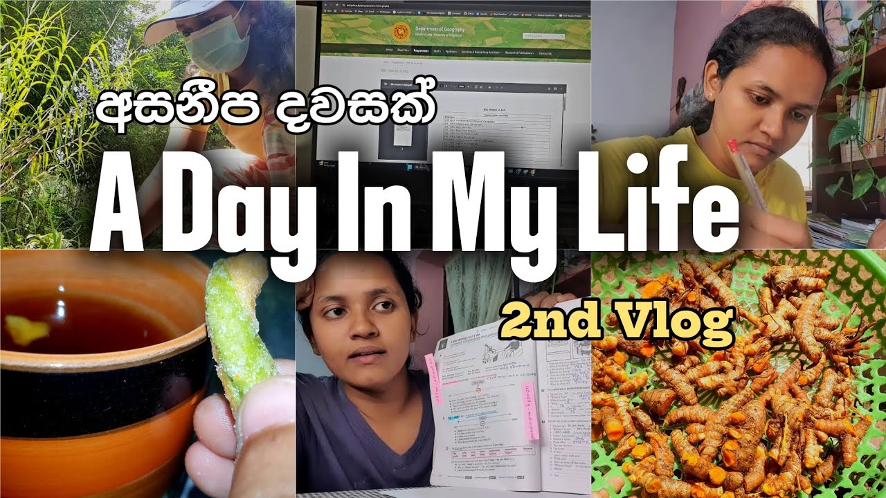 අසනීප දවසක් ❤🧿🧚🐰🌷🍃 A Day In My Life 🫂🌻 2 nd Day Vlog 😊💕 