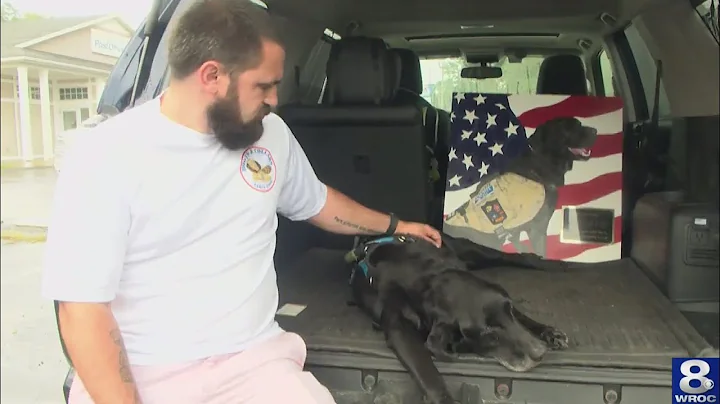 Earl the military bomb-sniffing dog laid to rest i...