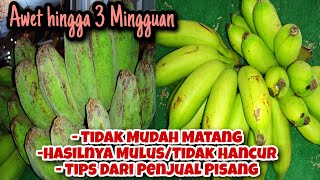Cara Menyimpan Pisang Agar Tahan Lama, Awet Hingga 3 Mingguan⁉️ Tips Dari Penjual Pisang‼️