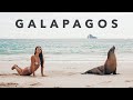 What it’s like on a luxury Galapagos yacht expedition | VLOG