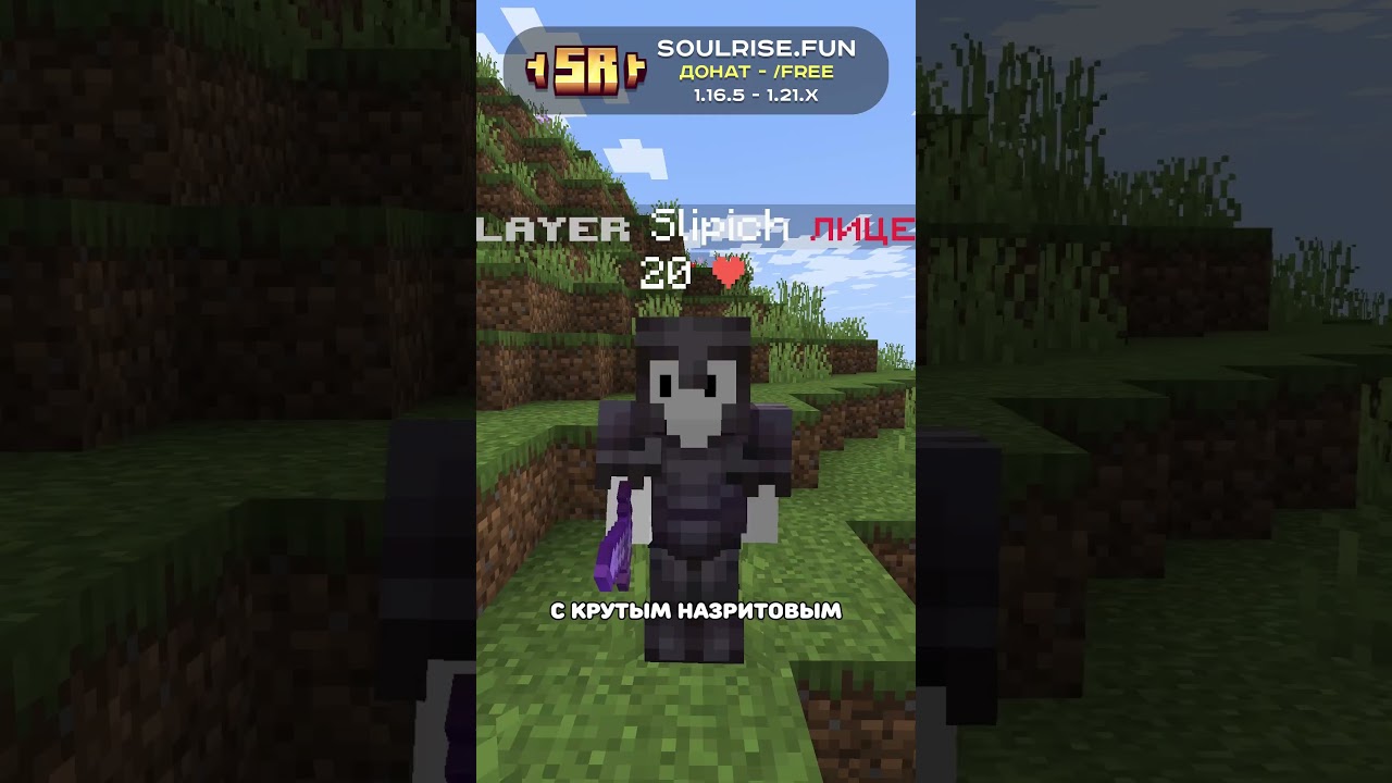 Айпи: soulrise.fun 