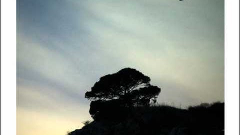 David Sylvian - A Certain Slant Of Light