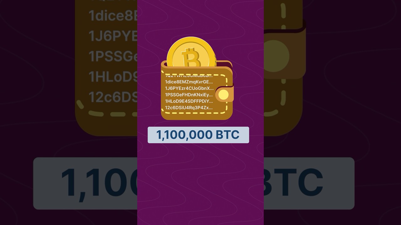 what if Satoshi comes back? #crypto #investing #satoshi #bitcoin #ytshorts 缩略图