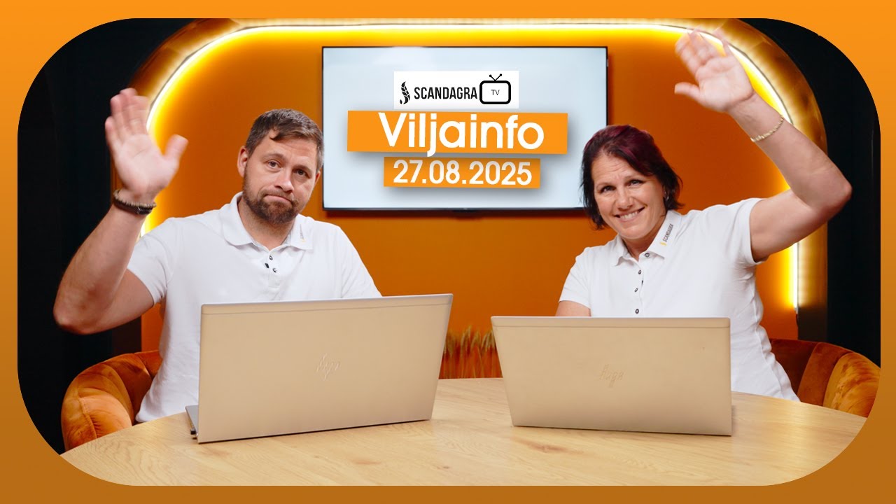 Scandagra VILJAINFO 27.08.2025