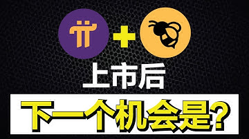 Pi币和Bee币上市后，你知道下一个机会是什么吗？| Pi Network仿盘 TimeStope 时间币 | 手机挖矿