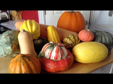 winter-squash!!!