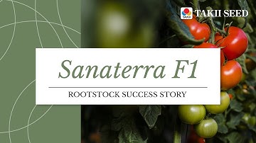 How Sanaterra rootstock transforms organic growing | Viridis Eco
